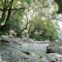 اجاره روزانه/هفتگی/ماهانه آپارتمان ۱۵۰ متری سویت