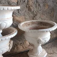 گلدان|گل و گیاه طبیعی|تربت جام, میان جام|دیوار