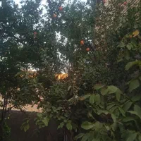 اجاره سوئیت با تمام امکانات در قدمگاه|اجارهٔ کوتاه‌مدت آپارتمان و سوئیت|نیشابور, فضل|دیوار