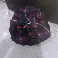 ۲۰گونی پیاز زردو۲۵ گونی پیاز قرمز برای ترشی|عمده‌فروشی|میاندوآب, |دیوار