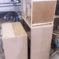 پرنده و جفت کن|پرنده|ساوه, |دیوار