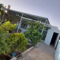 باغ طرف شرکت سابی خیابان پوریا ولی کوچه گلخانه