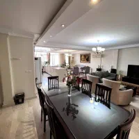 ۱۵۵متر/تکواحد/مشاعات ابی فعال*گذر عادل زرین|اجارهٔ آپارتمان|تهران, تهرانپارس غربی|دیوار