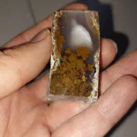 انواع سنگ شجر