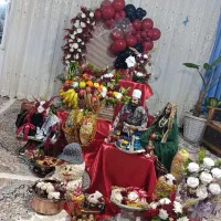 بادکنک و گل ارایی