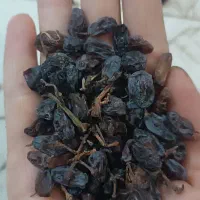 کشمش آفتابی بوانات|خوردنی و آشامیدنی|شیراز, مسکن مهر شیراز|دیوار