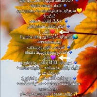 جشنواره پائیزی سیمکارت و کارتخوان|سیمکارت|نجفآباد, یزدانشهر|دیوار