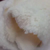 فروش پودر الیاف