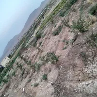 زمین کشاورزی 350 متر|فروش دفتر صنعتی، کشاورزی، تجاری|قم, پردیسان|دیوار