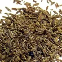 زیره در سروستان