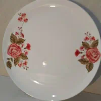 فروش ظروف آرکوپال