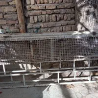 دو طبقه ماشین