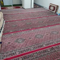 قالی نفیس کناره 1در4متری|فرش|مریوان, |دیوار