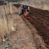 شخم زنی  با تراکتور کمرشکن وچاله کنی نهال و...