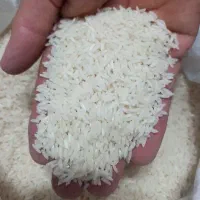 برنج هاشمی درجه یک