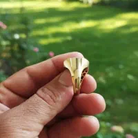 انگشتر مردانه|جواهرات|شیراز, کفترک|دیوار