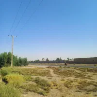 زمین ۷۵۰ متر بر خیابان آسفالت لنگرود