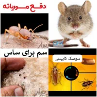 شرکت سمپاشی اهواز/موریانه سوسک ساس*10سال ضمانت