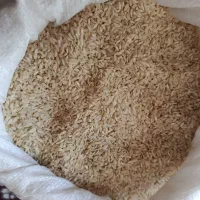 برنج چمپا محلی عنبربو|خوردنی و آشامیدنی|دهدشت, |دیوار