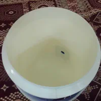 کلمن نو نو|ظروف نگهدارنده، پلاستیکی، یک‌بارمصرف|اهواز, نادری|دیوار