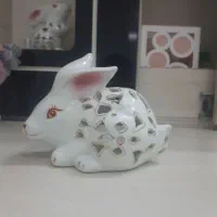 ۲ عدد خرگوش چینی سالم سالم در حد نو نو