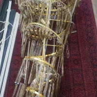 لوستربیست شاخه