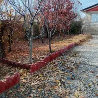 ویلا حیاط دار|فروش خانه و ویلا|بشاریات, |دیوار