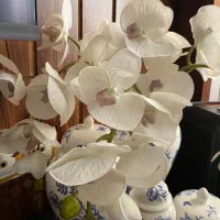 گل ارکیده|گل مصنوعی|ملایر, |دیوار