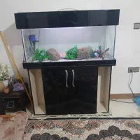 اکواریوم با وسایل