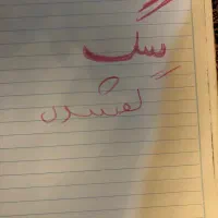 یک سگ پیدا شده