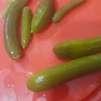 موادغذایی با کالابرگ تعاونی|خوردنی و آشامیدنی|بندر امام خمینی, |دیوار