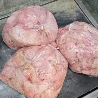 شهله چربی بدن گوسفندی پخش عمده