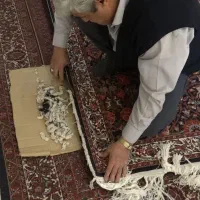 دژاوو انقلابی در شستن فرشها و...با تخفیفات ویژه|خدمات نظافت|محمدشهر, محمدشهر|دیوار