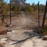 فروش یک قطعه باغ در اسلامیه