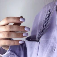 مدل برای تکمیل آلبوم کاری