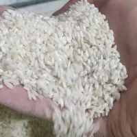 عنبربو کته پلویی برنج ایرانی|خوردنی و آشامیدنی|قم, ارم|دیوار