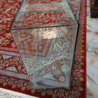 اکواریوم|ماهی|پردیس, فاز ۲|دیوار