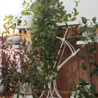 استند گلدان فلزی