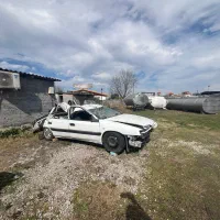 زانتیا تصادفی