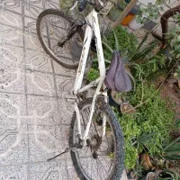 دوچرخه VIVA سایز ۲۶|دوچرخه، اسکیت، اسکوتر|ماهدشت, |دیوار