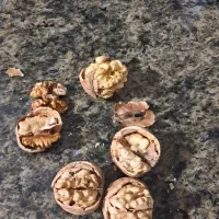 گردو پوست کاغذی