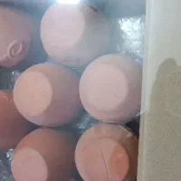 پیاله سفالی|ظروف سرو و پذیرایی|سنندج, |دیوار