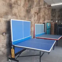 میز پینگ پنگ|تجهیزات ورزشی|بانه, |دیوار
