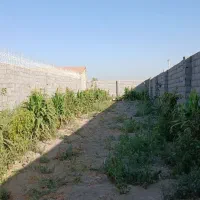 زمین-باغی