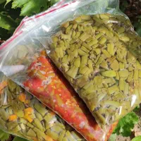 سبزیجات آماده و صیفی جات|خوردنی و آشامیدنی|مشهد, بهارستان|دیوار