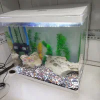 آکواریوم|ماهی|بندر ماهشهر, |دیوار