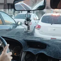 اموزش حرفه ای رانندگی مربی بانوان