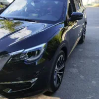 راننده شخصی