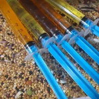 پک مکمل تقویتی + آماده سازی پرندگان طوطیسان