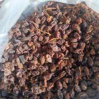 مویز|عمدهفروشی|نورآباد ممسنی, |دیوار